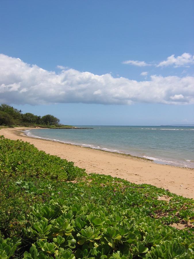Villa Hale Kai O'Kihei 118 Extérieur photo